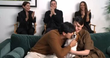 Shohei Ohtani accused of snubbing his wife after winning MVP award