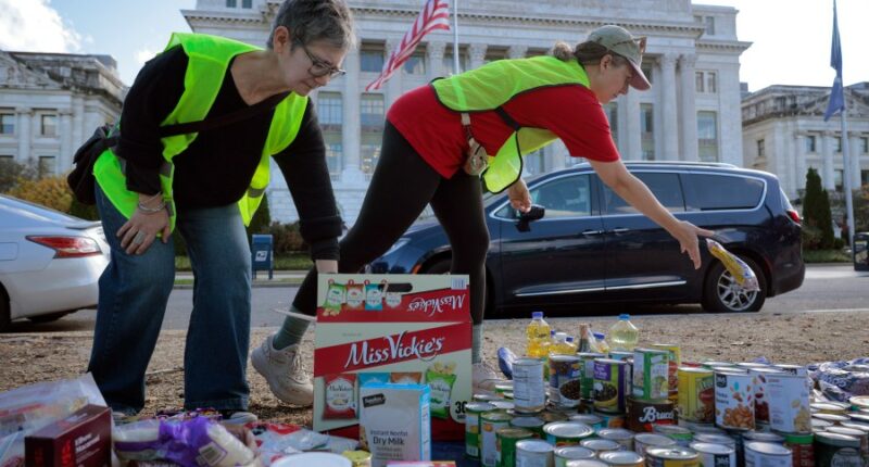 Shutdown strains food banks filling the gaps for SNAP recipients