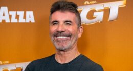 Simon Cowell reveals he's using controversial blood filtering trend