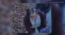 Slender Man Waukesha stabbing: assailant Morgan Geyser taken into custody after fleeing group home, police say