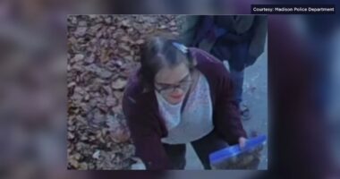 Slender Man Waukesha stabbing: assailant Morgan Geyser taken into custody after fleeing group home, police say