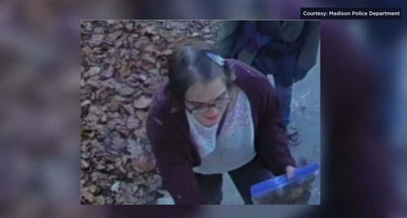 Slender Man Waukesha stabbing: assailant Morgan Geyser taken into custody after fleeing group home, police say