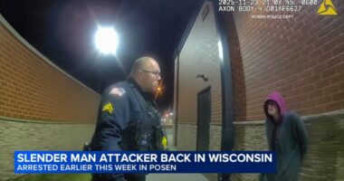'Slender Man' attack case: Wisconsin seeks to block Morgan Geyser's conditional release after escape from group home