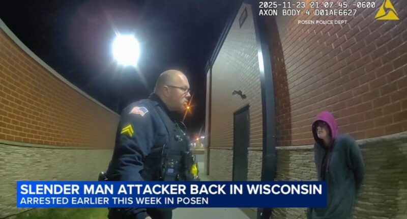 'Slender Man' attack case: Wisconsin seeks to block Morgan Geyser's conditional release after escape from group home