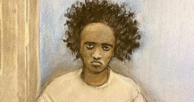 Southport killer's brother compares him to 'sociopath' serial killer