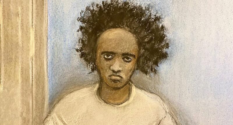 Southport killer's brother compares him to 'sociopath' serial killer