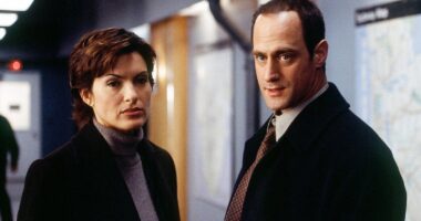 Special Victims Unit Star Auditioned For A Friends Role Multiple Times