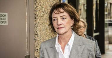 Stage set for court battle by Brittany Higgins' ex-boss in fight against government