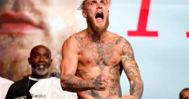 Celebrity Net Worth logo