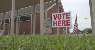 Statewide and Southeast Georgia 2025 Election | Results