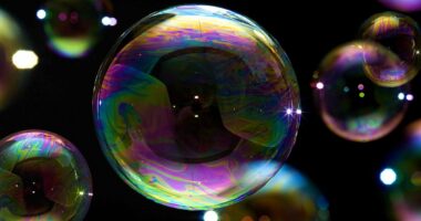 Stock market bubbles can be BRUTAL when they burst - but there are risks to bailing out too soon