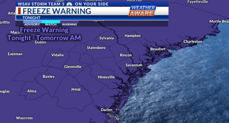 Storm Team 3: Freezing temperatures expected tonight