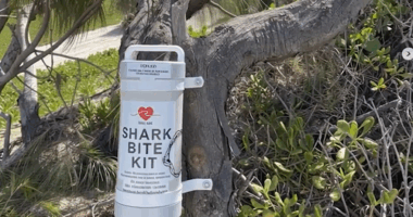 Surfers and survivors call for life-saving Shark Bite Kits on all Aussie beaches