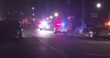 Suspect shot by Jacksonville officer after stolen car chase, crash, JSO says