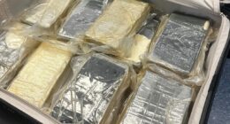 Sydney man to face court after 22kg find in suitcase