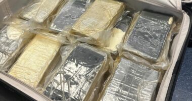 Sydney man to face court after 22kg find in suitcase