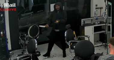 THREE possible missed chances to stop Huntingdon 'attacker' revealed