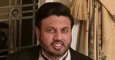 TONY HETHERINGTON: How I got lawyer barred after a reader lost £500,000 in investment scam