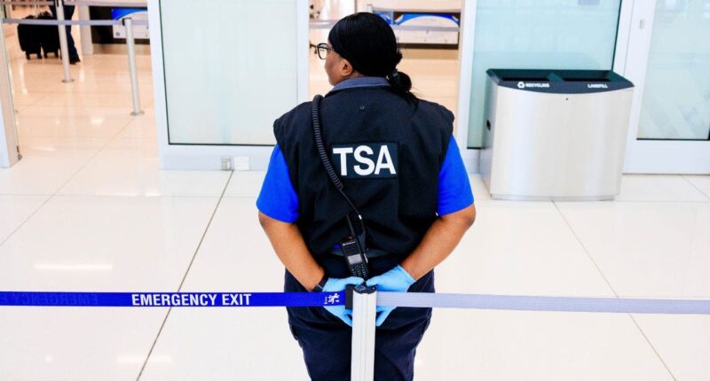 TSA worker sues to allow transgender officers to perform pat-downs