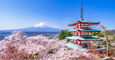 Takaichi's disruption is sending stocks soaring - should you go big in Japan?