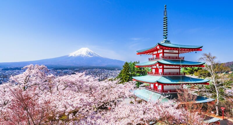 Takaichi's disruption is sending stocks soaring - should you go big in Japan?