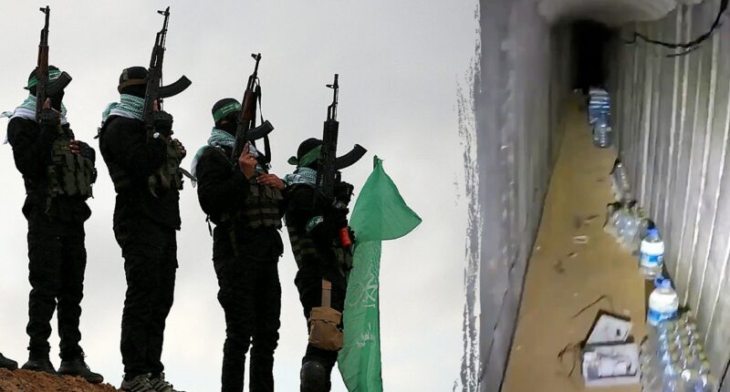 Taking out Hamas' million-dollar 'root' tunnel is game changer, analyst says