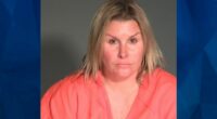 Teacher’s Aide Who Began Flirting with Boy When He Was 12, Now Accused of Child Sex Assault
