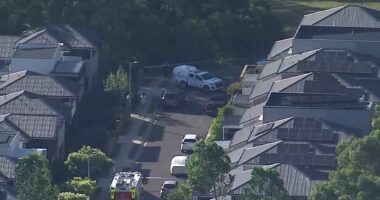 Teen, 17, stabbed to death near Sydney school