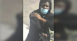 Teen pleads guilty in stray-bullet shooting of disabled East Harlem woman