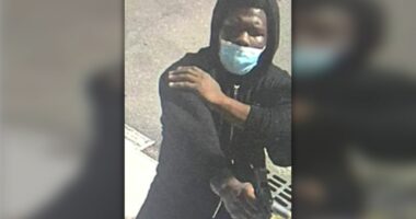 Teen pleads guilty in stray-bullet shooting of disabled East Harlem woman