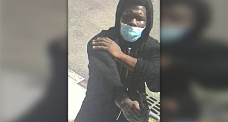 Teen pleads guilty in stray-bullet shooting of disabled East Harlem woman