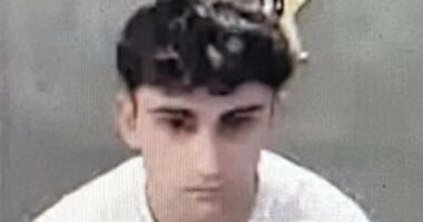 Teen rams Porsche into crosswalk and kills three college kids