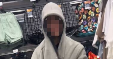 Teen's 'admission' as he faces court over stabbing death of boy, 17