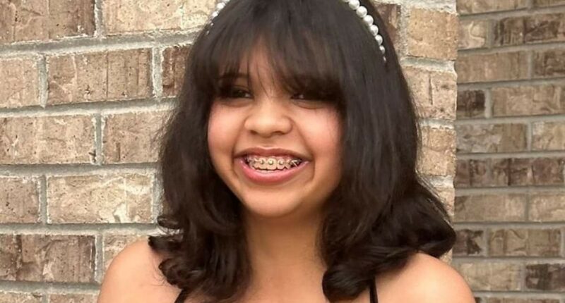 Teens' haunting final journal entries reveal a dark new AI phenomenon