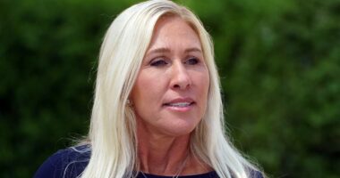 Terrified lawmakers handed panic buttons as jaw-dropping $200m security shield is quietly rolled out on the Hill