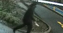 Terrifying new video shows screaming passengers run for their lives