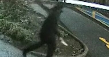 Terrifying new video shows screaming passengers run for their lives