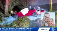 Tesla responsible for couple's car fire deaths: Lawsuit