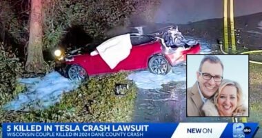 Tesla responsible for couple's car fire deaths: Lawsuit