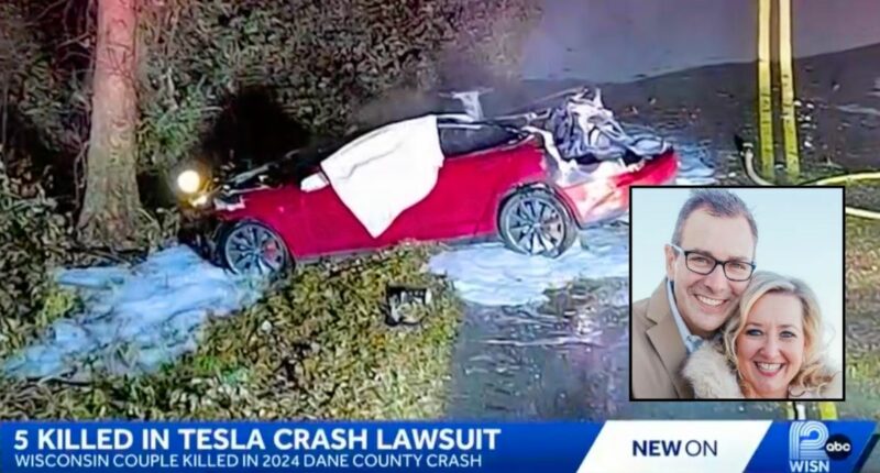 Tesla responsible for couple's car fire deaths: Lawsuit