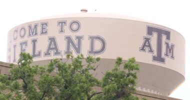 Texas A&M University committee rules professor's firing over gender identity lesson was unjustified