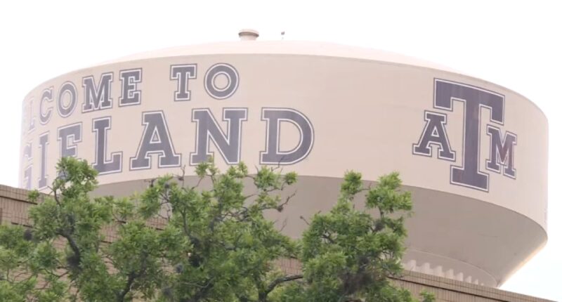 Texas A&M University committee rules professor's firing over gender identity lesson was unjustified