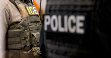 Texas raid targeting Tren de Aragua gang leads to arrest of 140 illegal immigrants