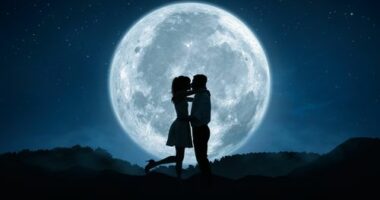 The 'evolutionary conundrum' of kissing may be way older than you think