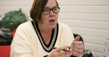 The Budget opens the floodgates for handouts, says White Dee