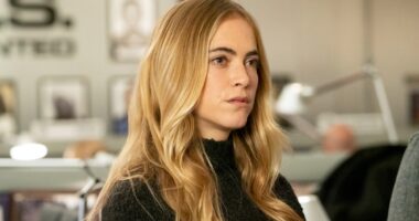 The Real Reason Emily Wickersham's Ellie Bishop Left NCIS
