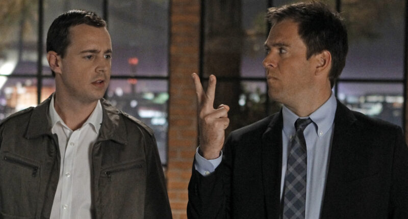 The Tony DiNozzo Reference You Might Have Missed In Episode 4