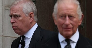 The amount Andrew Mountbatten Windsor could make writing a book