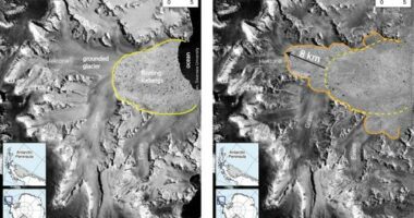 The chilling discovery that should have the world on notice