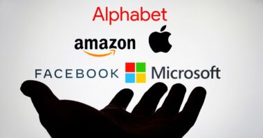 The giant stocks most in danger if the AI tech bubble suddenly bursts... and which are still worth clinging on to: MIDAS SHARE TIPS